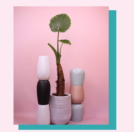 홈페이지 상단 이미지