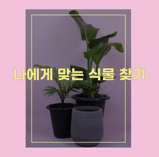 홈페이지 식물 찾기 이미지