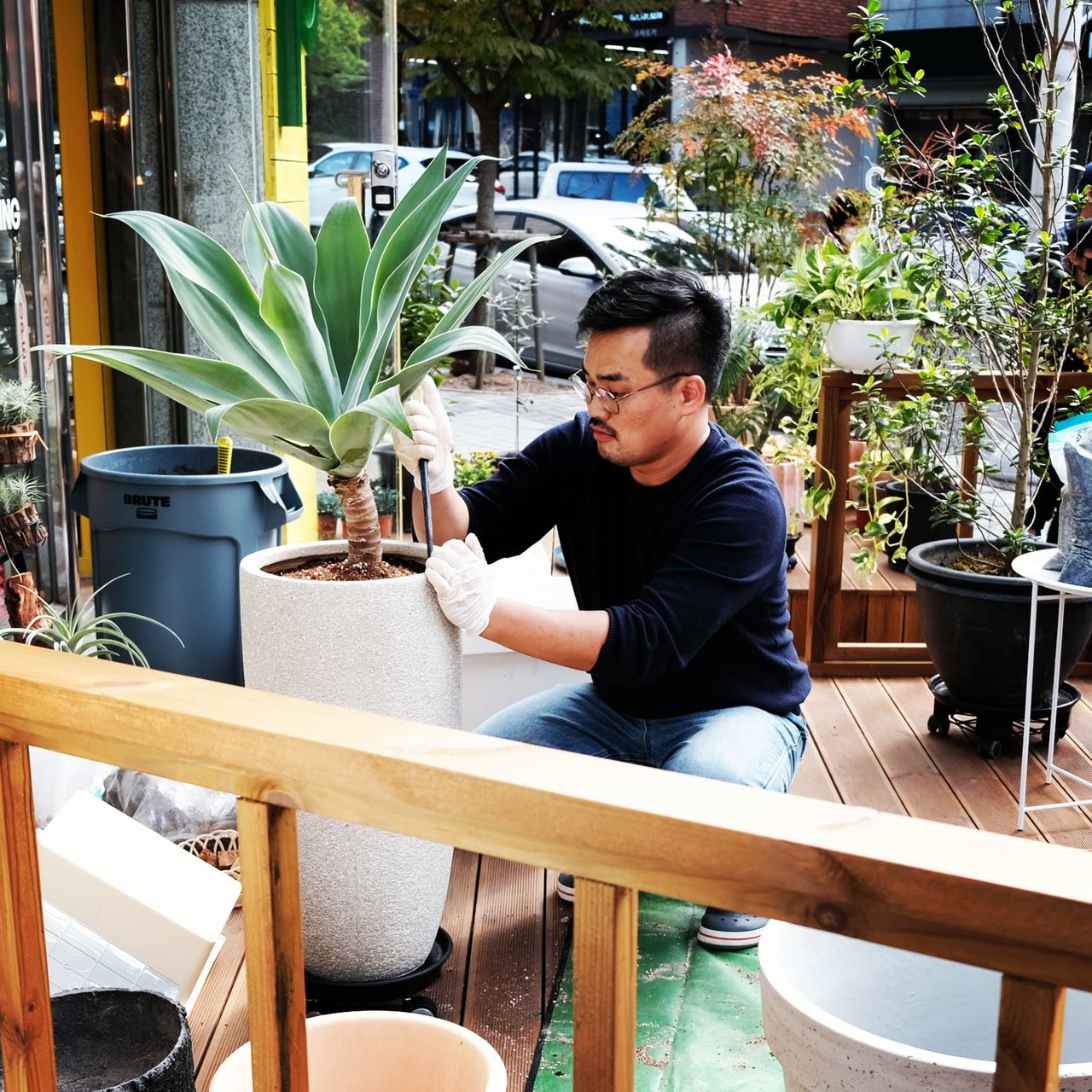 출장 분갈이 이미지